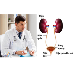 Với hệ tiết niệu